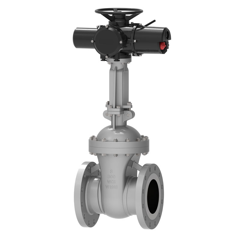 Elektr API 600 Gate Valve